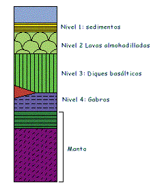 Estructura de la corteza oceánica